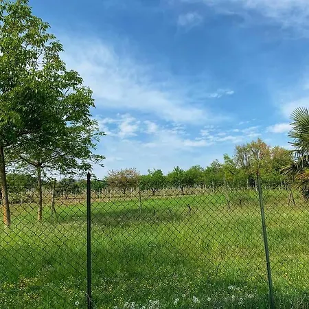 Appartement La Soffitta Del Malvasia