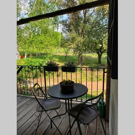 La Soffitta Del Malvasia Appartement *
