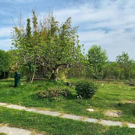 La Soffitta Del Malvasia