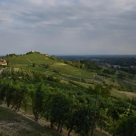 Appartement La Soffitta Del Malvasia